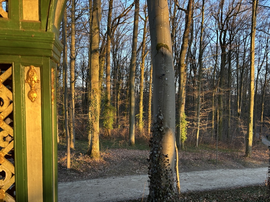 Farben, Fragen – Leben!